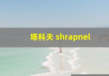 塔科夫 shrapnel